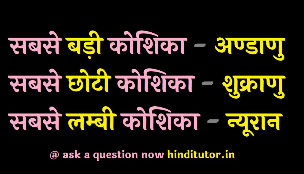 कोशिका के प्रकार