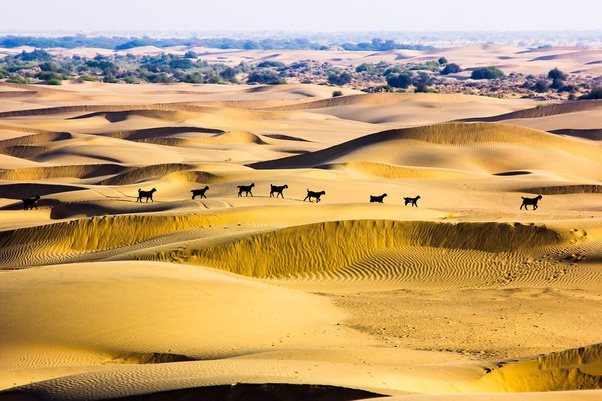 Jaisalmer