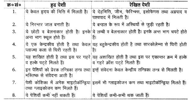 UP Board Solutions for Class 11 Biology Chapter 7 Structural Organisation in Animals 12