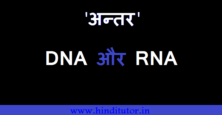 DNA aur RNA