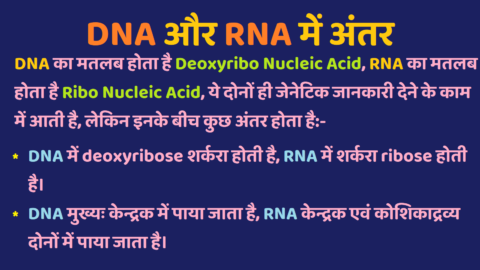 DNA aur RNA Mein Antar