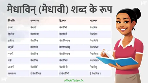Medhavin, Medhavi Shabd Roop in Sanskrit