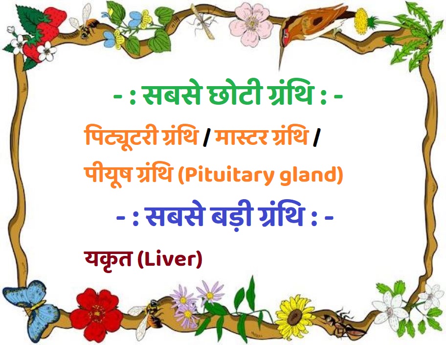 Sabase Chhoti Badi Granthi