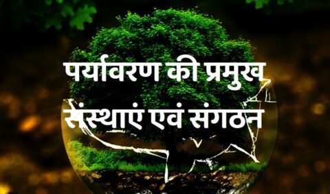 paryavaran ki sansthayen evam sangathan